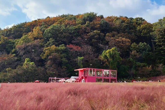 Herb Island and Sanjung Lake and Bidulginang Water Falls - Seoul Pickup Times You Should Plan Around