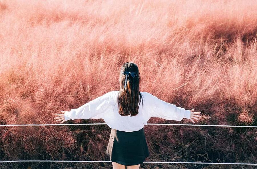 Jeju: 2026 Autumn Tour with Pink Muhly Festival Hotel Pickup - Cheonwangsa Temple: The Autumn Leaves First, Before Crowds Max Out