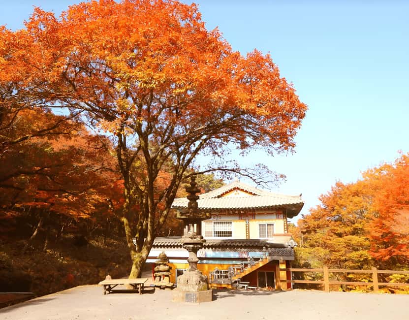 Jeju: 2026 Autumn Tour with Pink Muhly Festival Hotel Pickup - Lunch Timing and How to Plan Admission Costs