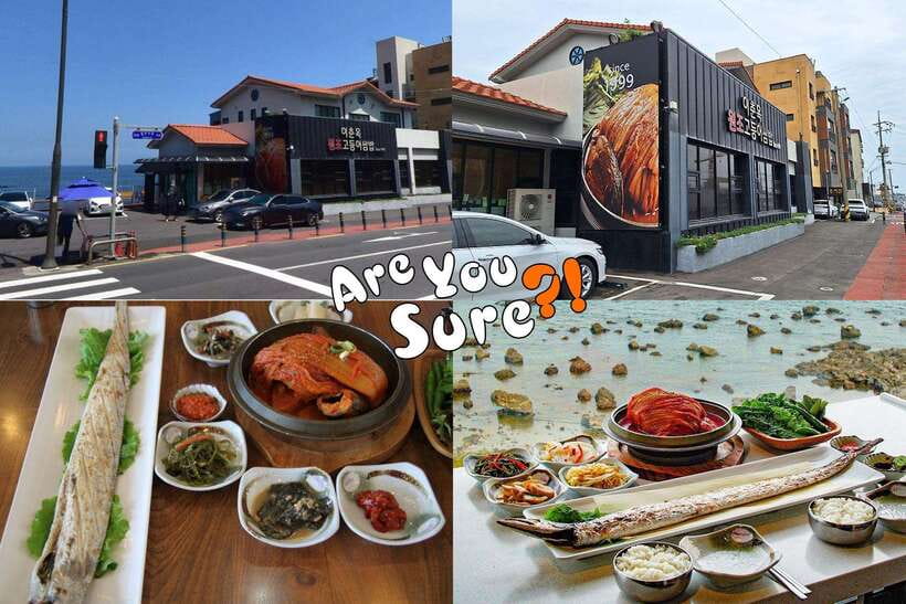 Jeju: BTS Are You Sure?! Filming Locations Private Taxi Tour - Key points before you ride in Jeju