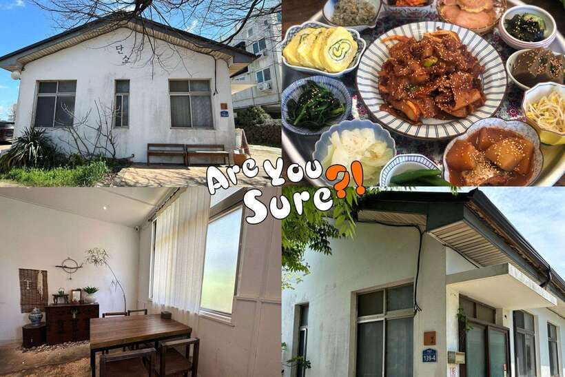 Jeju: BTS Are You Sure?! Filming Locations Private Taxi Tour - What the driver experience really changes for you