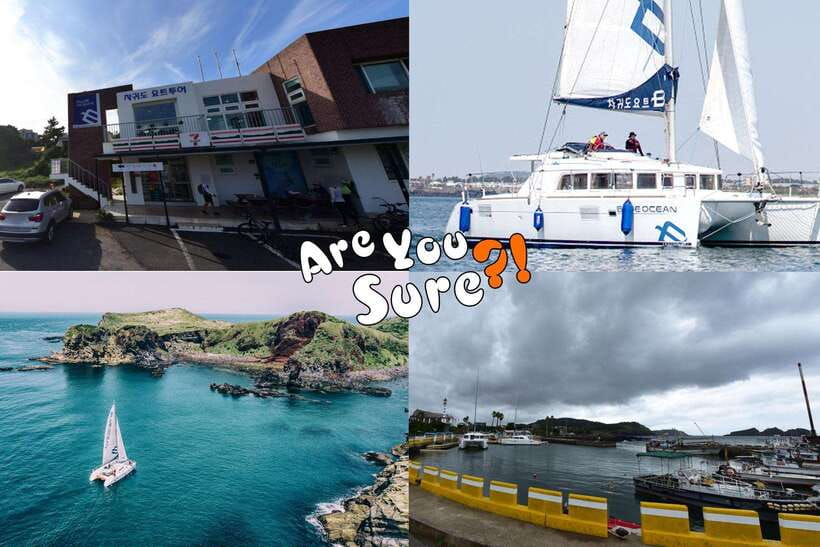 Jeju: BTS Are You Sure?! Filming Locations Private Taxi Tour - Private sedan logistics: capacity, luggage, and the west plus east reality