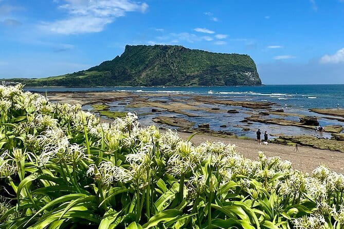 Jeju BTS & K-drama Fans Small Group Tour incl. Snoopy Garden - Gwangchigi Beach: the quick scenic scene-setter