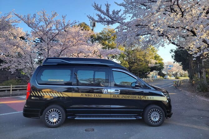 Jeju BTS & K-drama Fans Small Group Tour incl. Snoopy Garden - Umutgae Coast and the haenyeo Woman Divers show: why Jeju dramas keep using this image