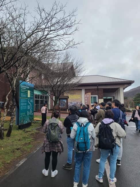 Jeju: Cherry Blossom South & West Day Tour with Hotel Pickup - Key Points Before You Go