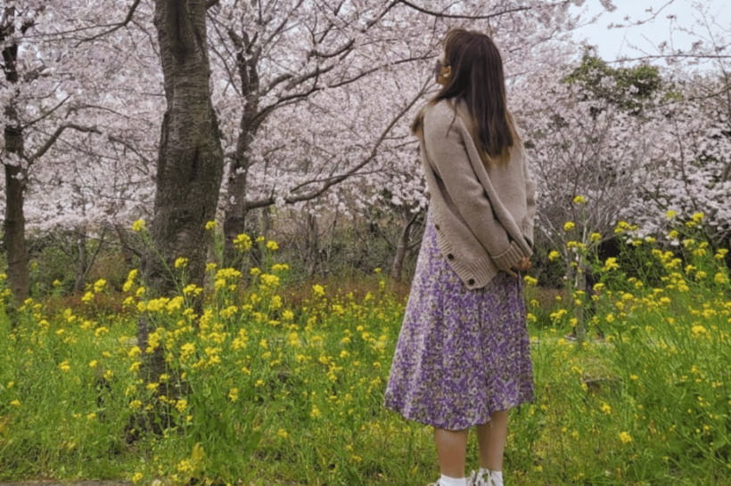 Jeju: Cherry Blossom South & West Day Tour with Hotel Pickup - O’sulloc Green Tea Museum: reset with a tea break