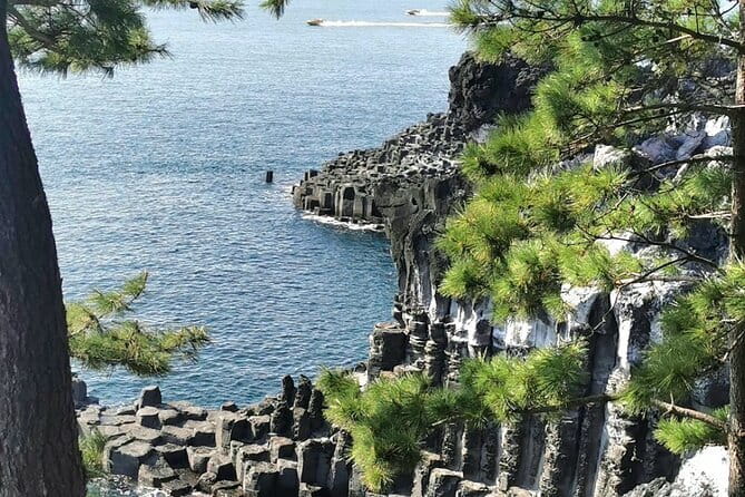 Jeju Cruise Ship gangjung Port PRIVATE tour for all group sizes - Oedolgae and the Olle Trail Vibes: Start Strong on the Coast