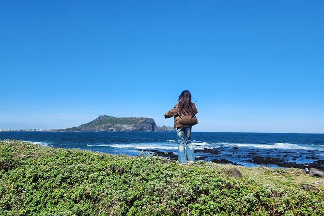 Jeju Cruise Ship gangjung Port PRIVATE tour for all group sizes - The Hexagonal Columns Stop: When Geology Looks Man-Made
