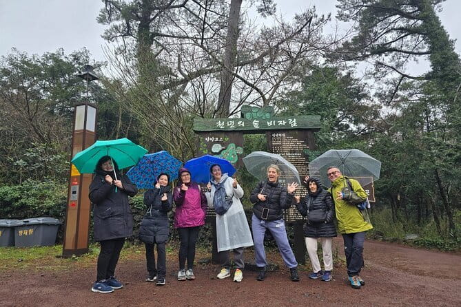 Jeju Cruise Ship gangjung Port PRIVATE tour for all group sizes - O’sulloc Tea Museum and Innisfree Cafe: The “Souvenir But Make It Scenic” Break