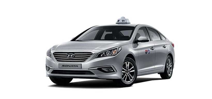 Jeju Cruise Shore Excursion Private Taxi Tour Car Charter - Weather, docking risk, and keeping communication simple