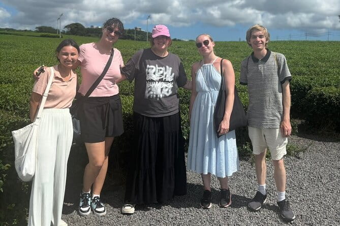 Jeju Customized Private Car Tour - Why a Private, Custom Car Day Makes Jeju Feel Easier