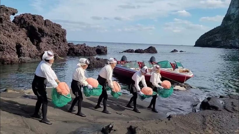 Jeju: Customized Private Vehicle Day Tour - Why a Private Vehicle Day Works So Well in Jeju
