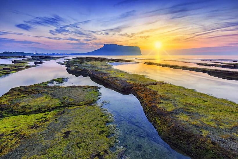 Jeju: Customized Private Vehicle Day Tour - Price and Logistics: What $276 Covers (and What It Does Not)