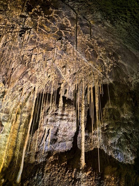 Jeju: Customized Shore Excursions For Up To 7 People - UNESCO Jeju in One Day: Mt. Halla to Jusangjeolli