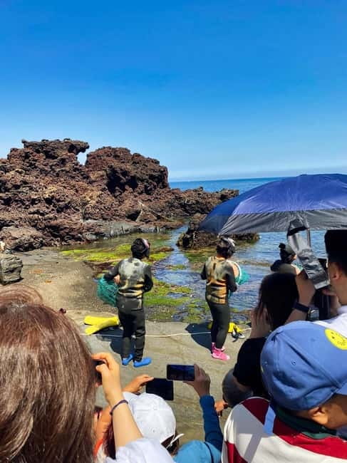 Jeju: Customized Shore Excursions For Up To 7 People - Price and Value: $345 Per Group for Up to 7
