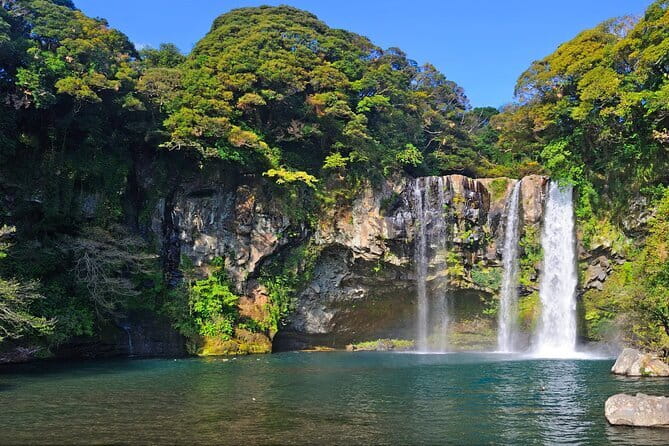Jeju Day Tour for Cruise Guests - Hallasan Wetland and Eorimok: A Short Visit With a Big Reputation