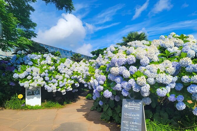 Jeju Day Tour for Cruise Guests - Cheonjeyeon Falls: Three Drops, One Clear Story