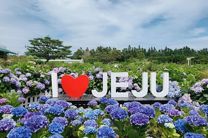 Jeju Day Tour for Cruise Guests - Price and Value: What You’re Actually Getting for $62.29