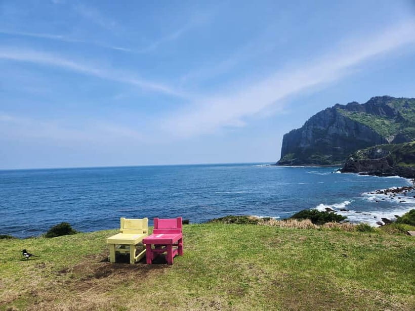 Jeju East: Cherry Blossom Early Bird Tour with Hotel Pickup - Price and Value: Is $72 a Smart Deal?