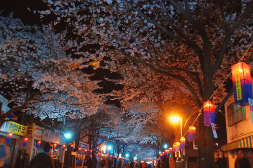 Jeju East: Cherry Blossom Early Bird Tour with Hotel Pickup - Seopjikoji: Clifftop Views and Sea-Breeze Photo Timing