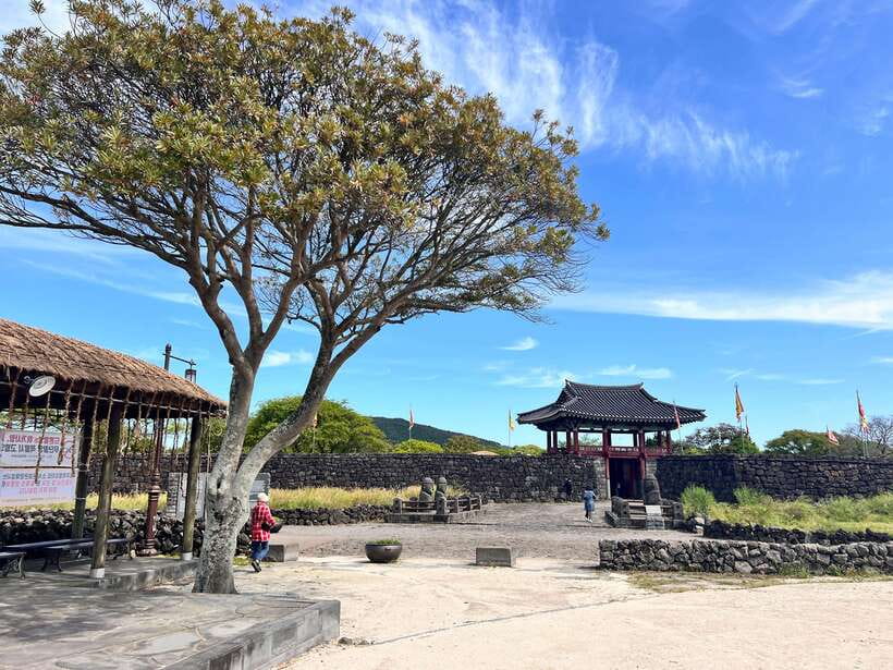 Jeju: East of Jeju Island Bus Tour from Seogwipo City - Key points to know before you go