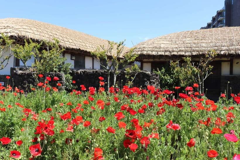 Jeju: East of Jeju Island Bus Tour from Seogwipo City - What to pack for Jeju wind and a crater trek