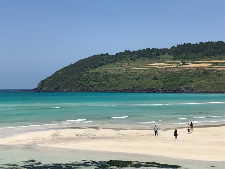 Jeju: East of Jeju Island Bus Tour from Seogwipo City - Haenyeo museum and the coast: seeing sea-work culture beyond photos