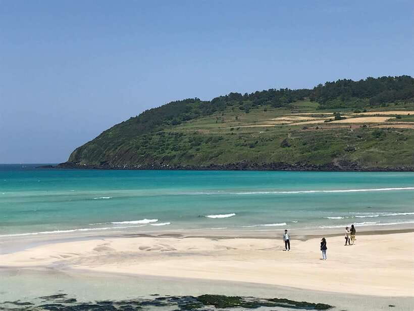 Jeju: East of Jeju Island Bus Tour from Seogwipo City - Getting around: small group pace, comfortable transport, and real timing