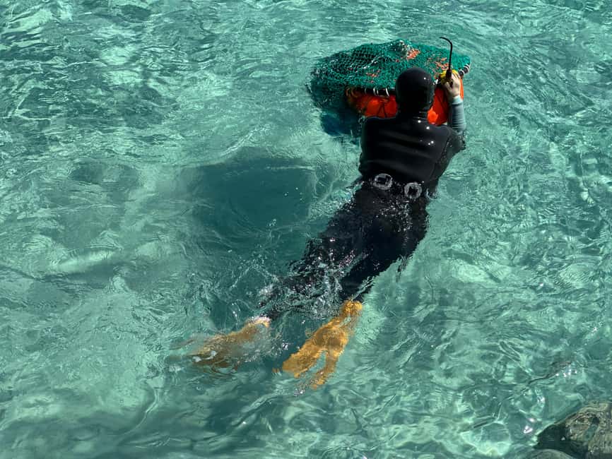Jeju East: Small Group Healing Tour w/Woman Divers Show - Key highlights that make this tour worth your time