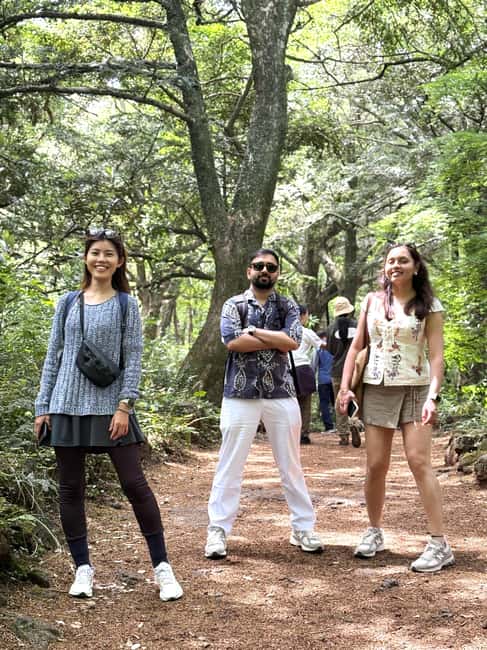Jeju East: Small Group Healing Tour w/Woman Divers Show - How the pacing and small-group format help you enjoy East Jeju