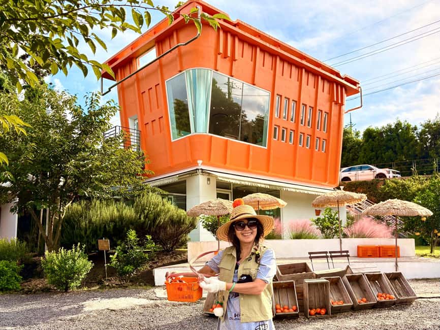 Jeju East: Small Group Healing Tour w/Woman Divers Show - A stress-free start from Jeju City, with pickup and a real plan