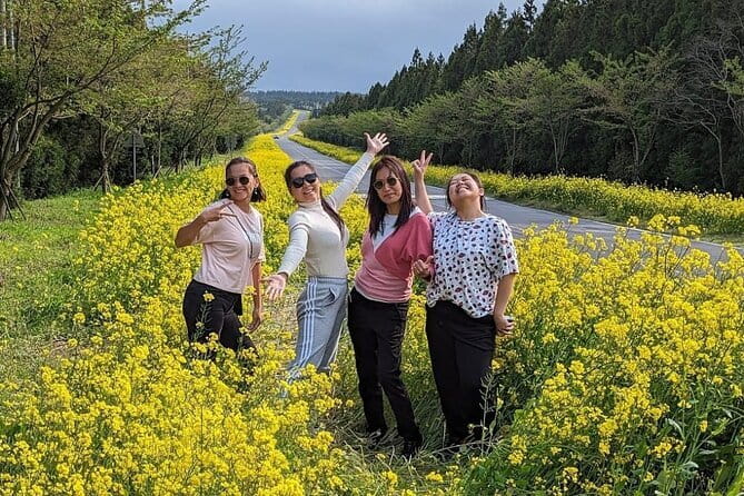 Jeju Eastern Cultural Exploration Day Tour - Seongsan Ilchulbong: The Volcano Climb and the 2:00pm Haenyeo Performance