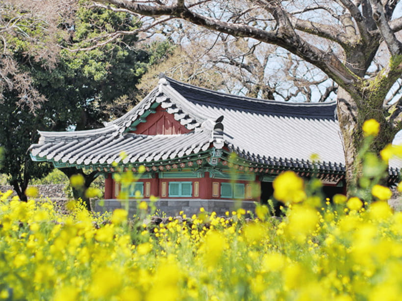 Jeju: Eastern Jeju UNESCO Spots Day Tour - Gwangchigi Beach and Nogsanlo: where the coastline gets less touristy