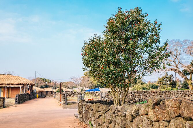 Jeju Eastern Must visit Unesco Spots Join In Tour - Ilchul Land and Micheon Cave: plants with an underground twist