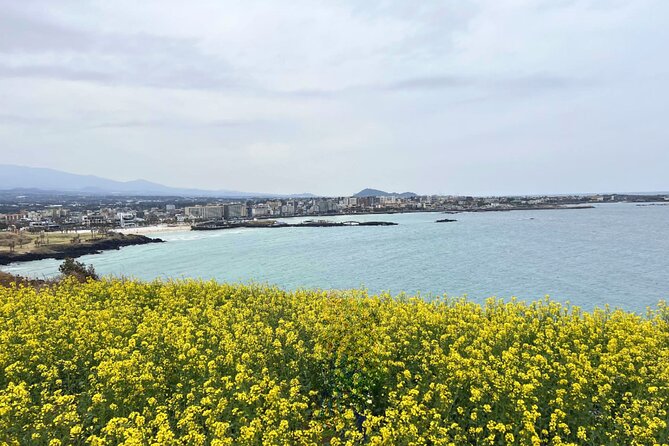 Jeju Eastern Must visit Unesco Spots Join In Tour - Dongmun Traditional Market: a flexible way to end the day