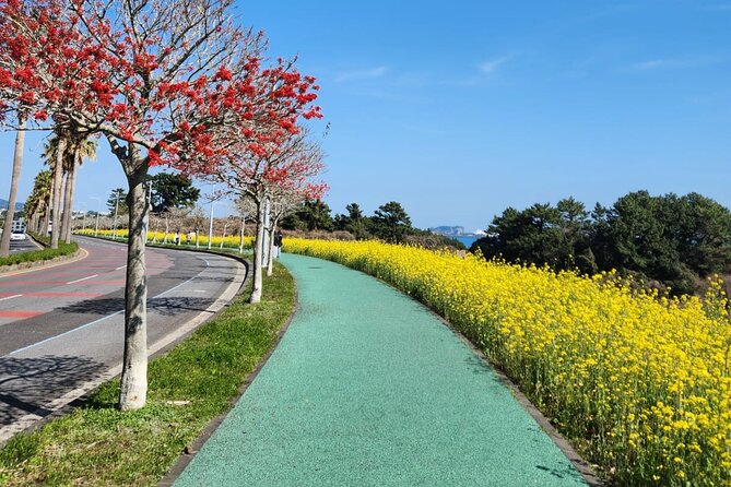 Jeju English Private Taxi Tour(1day, 2days, 3days & 1 to 12pax) - Pick one direction: the trick that keeps your day from collapsing