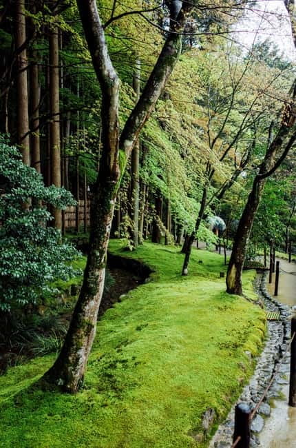 Jeju Highlights Day Trip (East Course) - Seongeup Folk Village: Jeju Culture You Can Walk Through