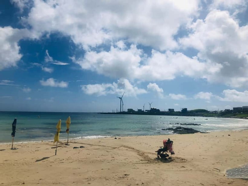 Jeju Island: Customized Private Full-Day Van Tour - Woljeongri beach time, coffee, and the value of a calm start