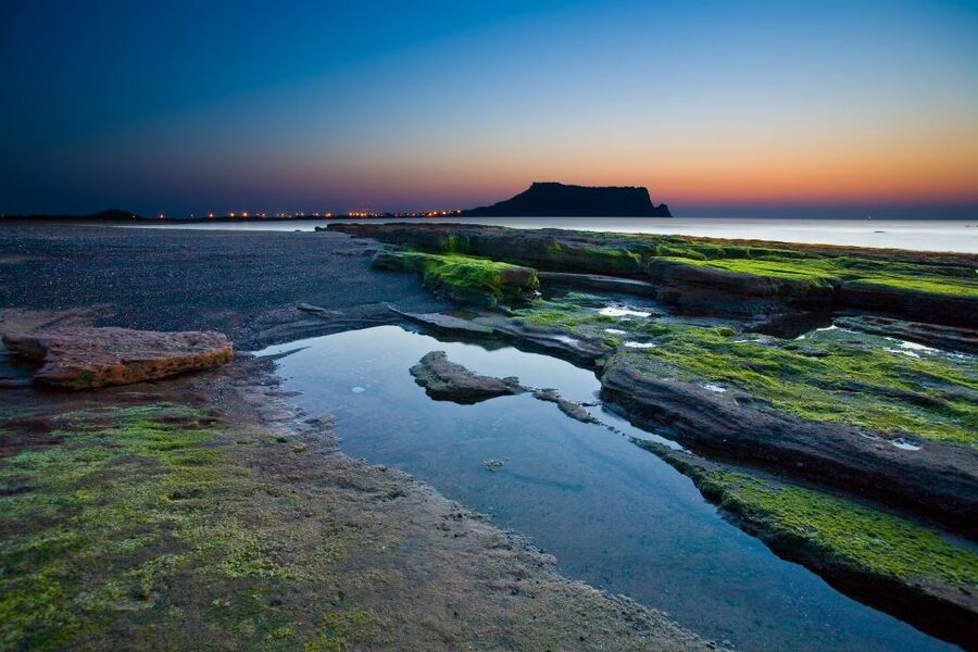 Jeju Island: Customized Private Full-Day Van Tour - Pickup, transport comfort, and how the day really runs