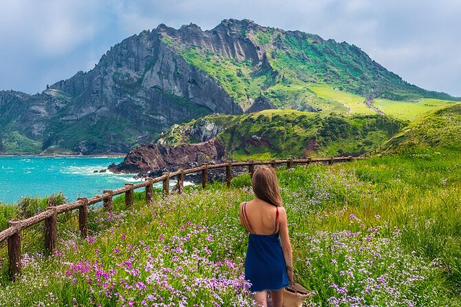 Jeju island Eastern UNESCO site Full Day Guided Tour - Seongeup Folk Village: stone walls, old homes, real everyday life
