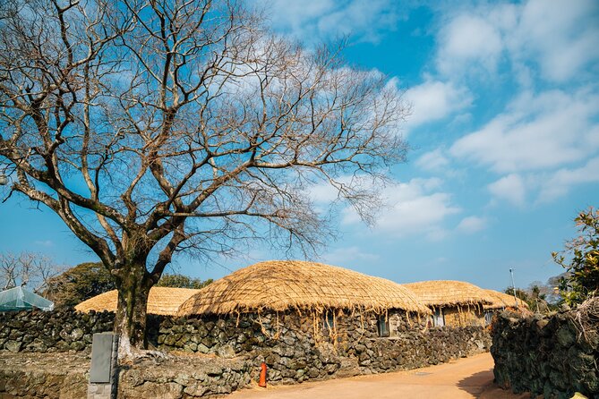 Jeju island Eastern UNESCO site Full Day Guided Tour - Dongmun Market: your free ending choice