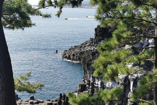 Jeju Island English Private & Flexible Tour any number anywhere - Practical Jeju planning tips for a smoother day