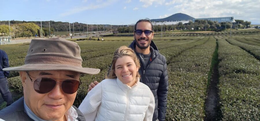 Jeju Island: Full-Day Customizable Private Guided Car Tour - What the Guide Adds, From Safety to Storytelling