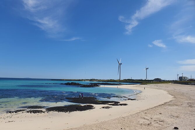 Jeju island Jumbo Taxi Private Tour with Mr.Hong South of Jeju - Who this tour fits best
