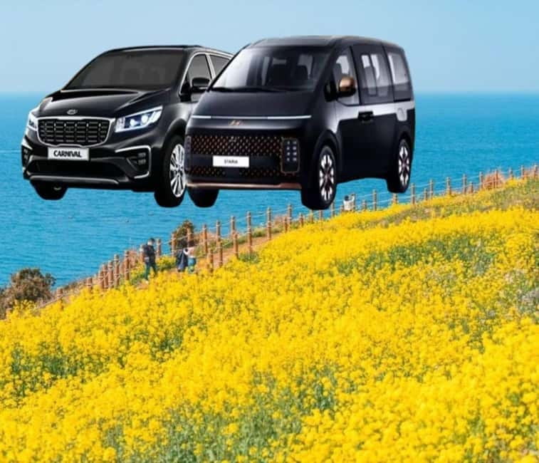 Jeju Island: Private Car Charter Tour - Pick your Jeju route, east, west, or south, and stay within the time box
