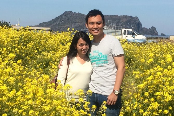 Jeju Island Private Taxi Tour : 2 Full days - Why a private taxi beats renting a car on Jeju