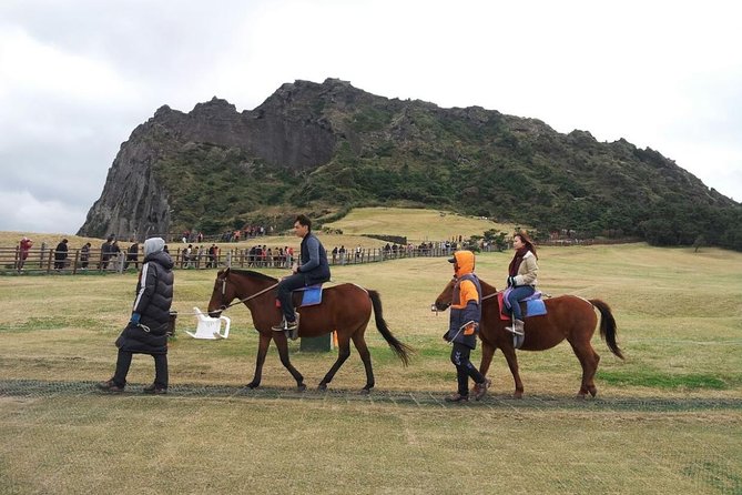 Jeju Island Private Taxi Tour : 2 Full days - Day 2: West and South Jeju, tea country, volcano domes, waterfalls, and column cliffs