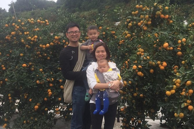 Jeju Island Private Taxi Tour : 2 Full days - Weather, tides, and closures: how the itinerary stays alive