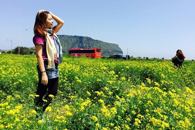 Jeju island Private Tour - UNESCO Day Tour & Haenyeo Performance - Seongeup Folk Village: old Jeju life, plus Hanbok if you want it