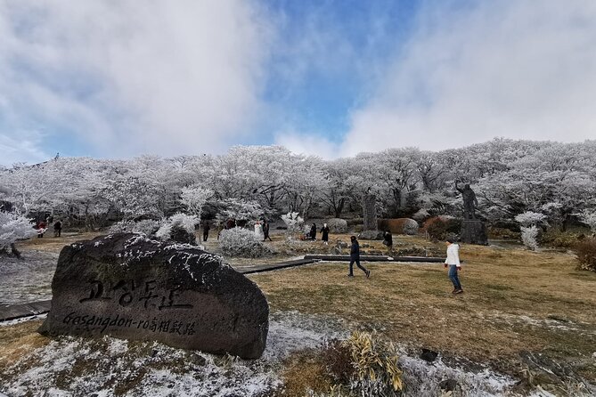 Jeju island Private Tour - UNESCO Day Tour & Haenyeo Performance - Manjanggul Cave or the Haenyeo Museum swap, plus Jeju Stone Culture Park